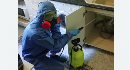 Уничтожение муравьев в квартире. Нарьян-Мар