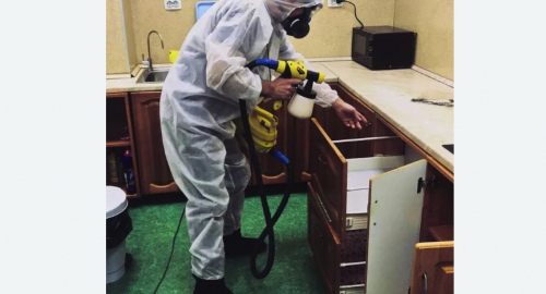 Уничтожение насекомых в квартире. Нарьян-Мар