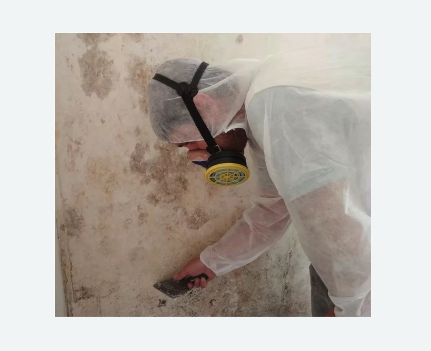 Обработка стен от плесени Обработка стен от плесени в Нарьян-Маре