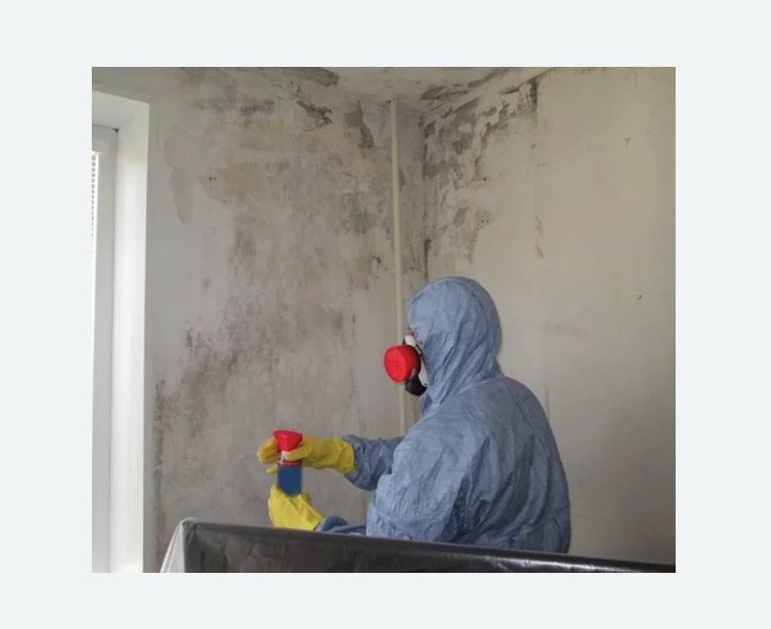 Удаление плесени в квартире Удаление плесени в квартире в Нарьян-Маре